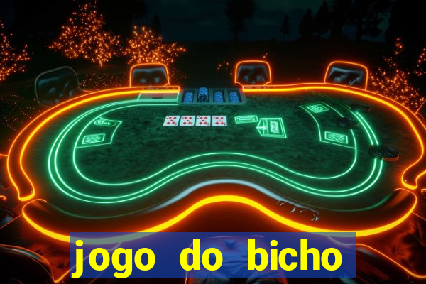 jogo do bicho crash bingo